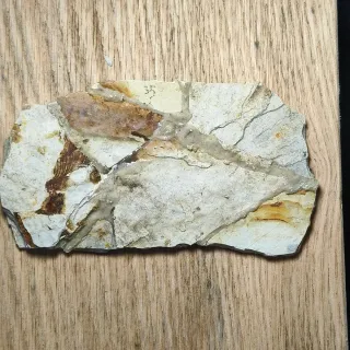 FOSIL DE PEZ EN PIEDRA