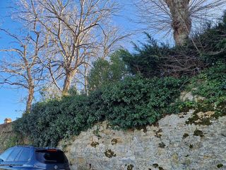 Terreno en venta en Buenavista - El Cristo en Oviedo