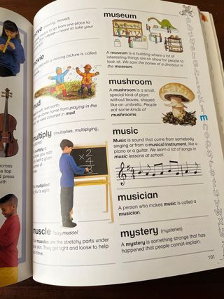 The Kingfisher First Dictionary