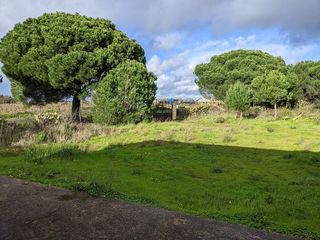 Terreno en venta en Lepe ciudad en Lepe