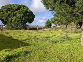 Terreno en venta en Lepe ciudad en Lepe