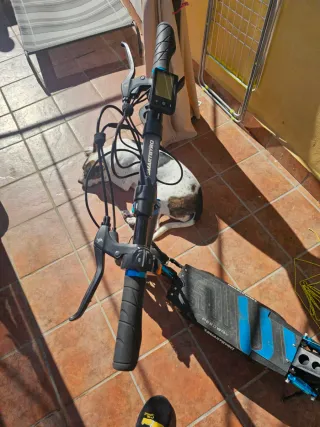 SmartGyro Speedway Patinete Eléctrico