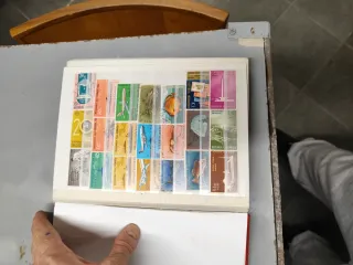 Riferimento Indonesia 94