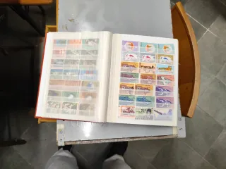 Riferimento Indonesia 94