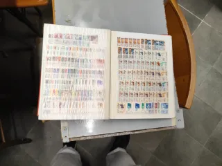 Riferimento Indonesia 94