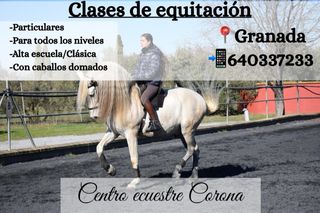 Clases de equitación