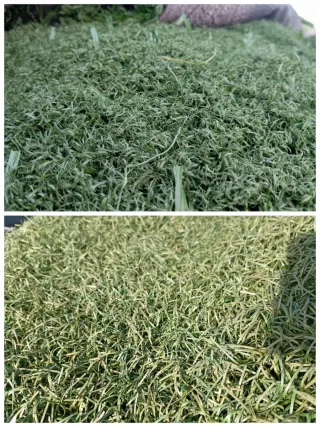 Venta césped artificial