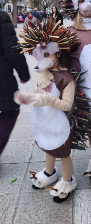 Disfraz erizo adulto.