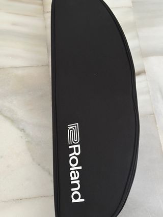 Aerófono Roland AE-10