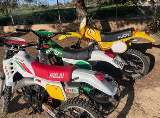 Motos Clásicas Puch Cobra Rieju Maratón  Rieju RM