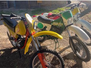 Motos Clásicas Puch Cobra Rieju Maratón  Rieju RM