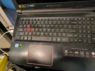 Acer Predator Helios 300 Gaming Laptop