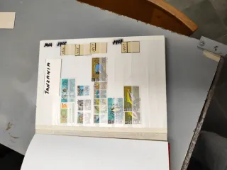 Riferimento Tanzania 9o