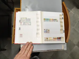 Riferimento Tanzania 9o