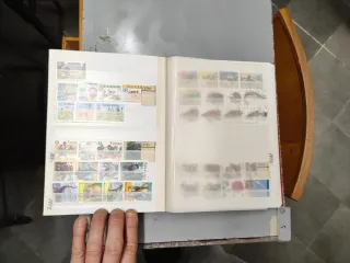 Riferimento Tanzania 9o