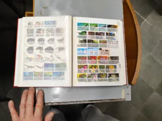 Riferimento Tanzania 9o