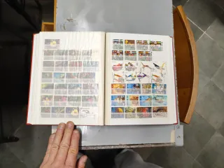 Riferimento Tanzania 9o