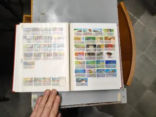 Riferimento Tanzania 9o