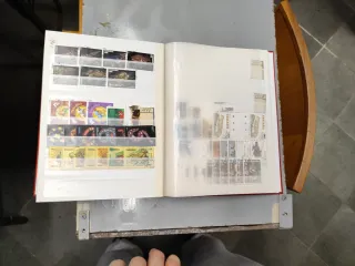 Riferimento Tanzania 9o