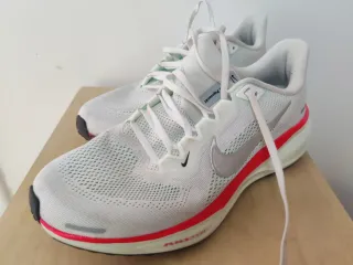 Nike Pegasus 41 Talla 42