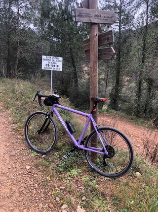 Bicicleta Gravel Morada