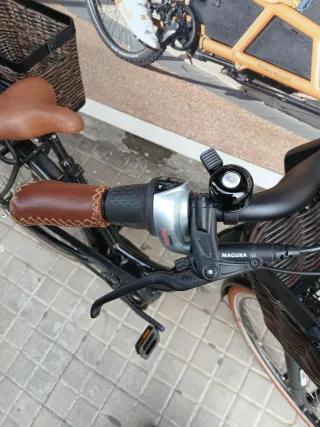 Riese & Müller Swing 4 Silent Eléctrica