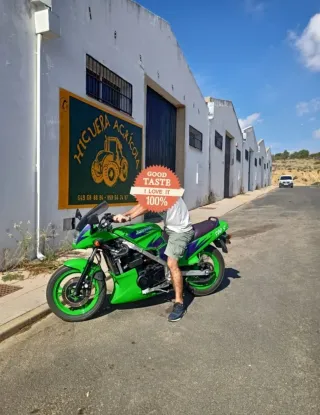 Kawasaki GPZ 500 S Verde y Morado