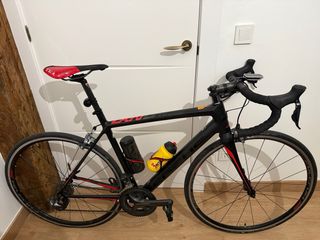 Focus Izalco con cambio electrónico