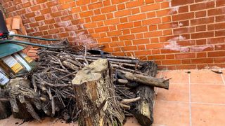 Lote leña variada chimenea barbacoa