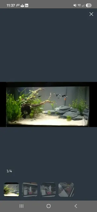 Acuario 60L con accesorios