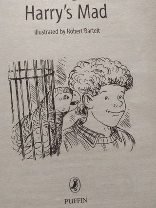 Harrys Mad