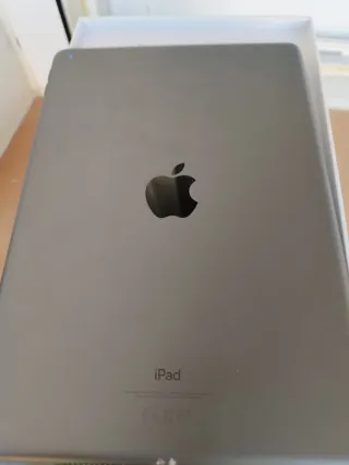 iPad 7ª Generación. No carga de ahí su precio.