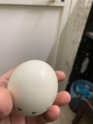 Timer da cucina a forma di uovo