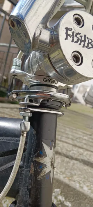 Bicicleta BMX Fishbone Ninja