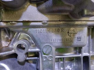 Dacia rectp5548893 motor h4df480 duster (hm_) 1.0