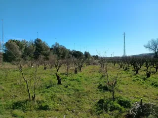 Terreny agricola de regadiu