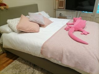 Servicio de limpieza