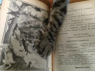 Libro Prima elementare 1880