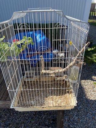 Jaula Voladera Beige y Blanca