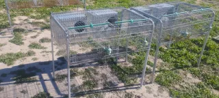 Jaula cría conejos metálica