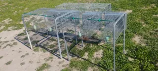 Jaula cría conejos metálica