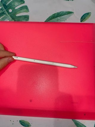 Apple Pencil 2ª Gen