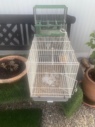 Jaula de cría para pájaros