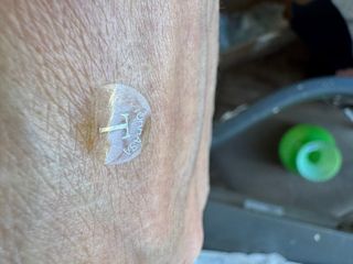 Coppia di gufi in cristallo artistico La Torrasa