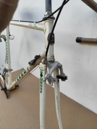 Cuadro Torrot carretera