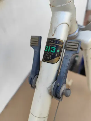 Cuadro Torrot carretera