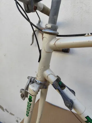 Cuadro Torrot carretera