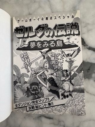 Guide Zelda Link Awakening Gameboy JP