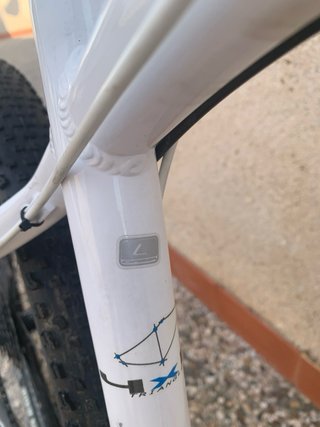 Orbea Alma