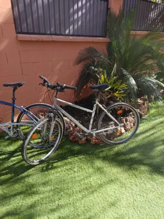Lote de tres bicicletas muy buen estado 125€